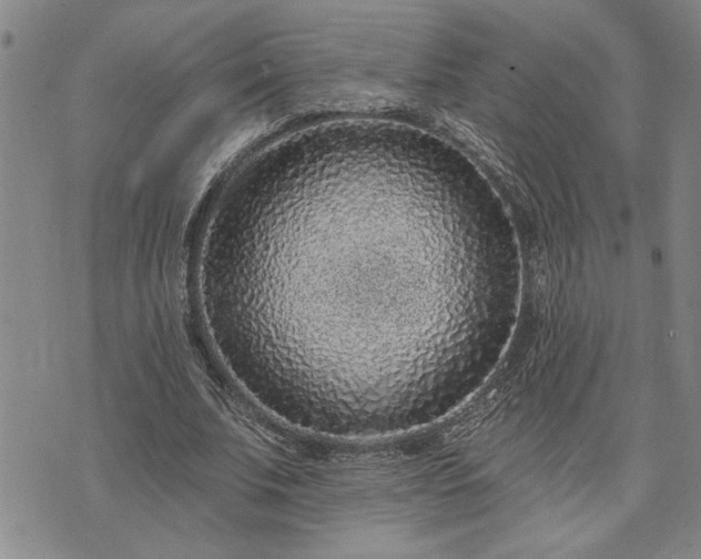 X0000075850679200609221731