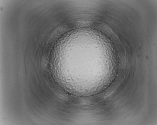 X0000075850701200609221731