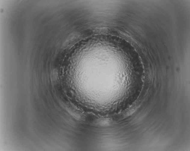 X0000075850711200609221730