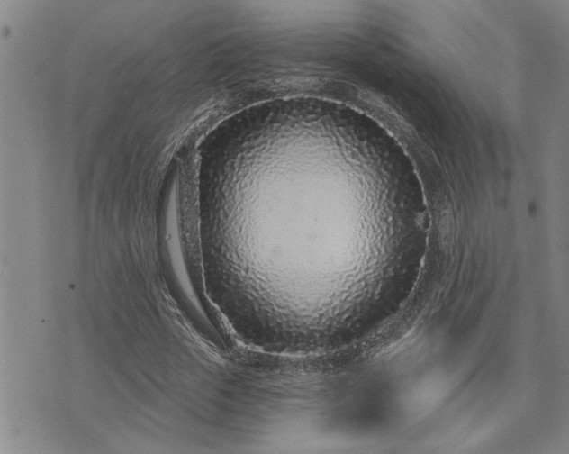 X0000075850729200609221730