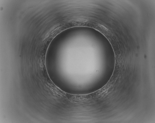 X0000075850774200609221729
