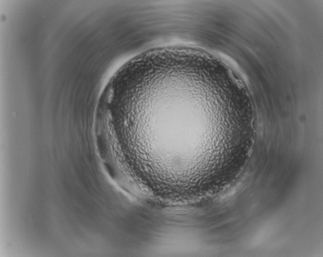 X0000075850863200609221729