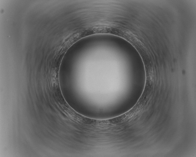 X0000075850964200609221726