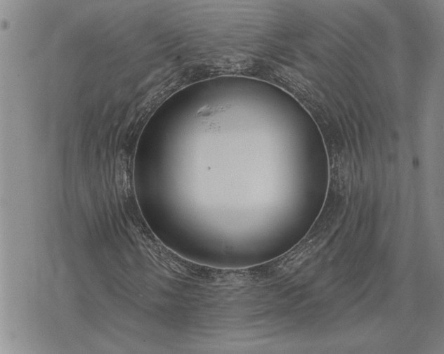 X0000075851058200609221725