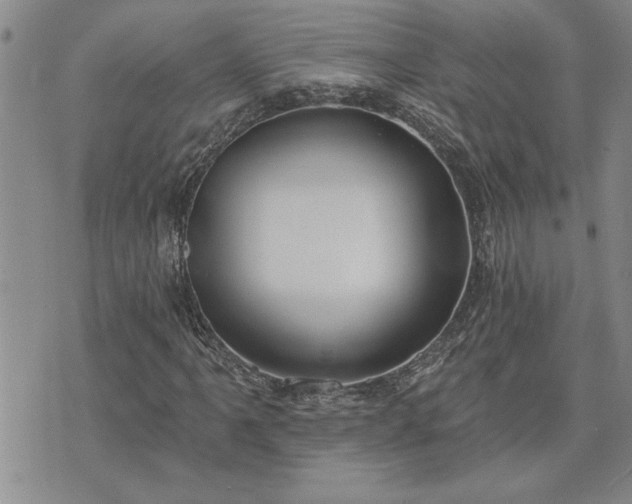 X0000075851061200609221725