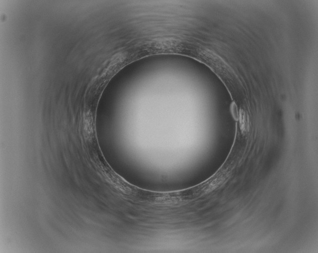 X0000075851107200609221723