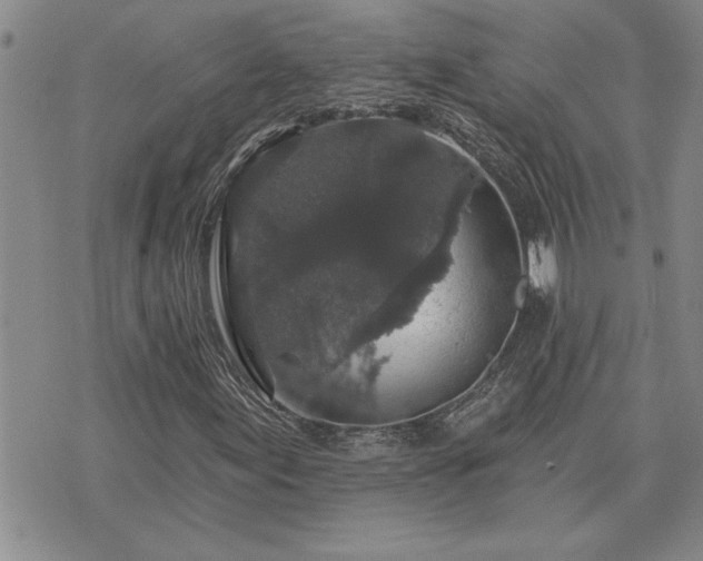 X0000075851155200609221723