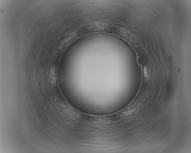 X0000075851203200609221722