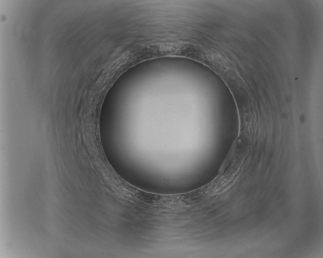 X0000075851249200609221721