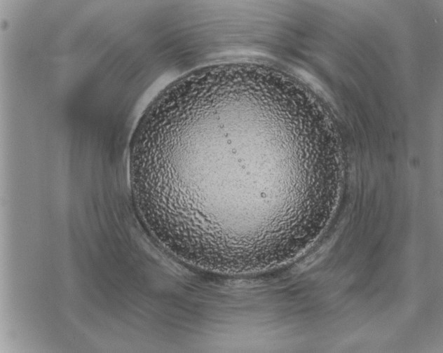 X0000075851275200609221721