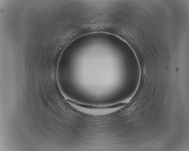 X0000075851300200609221720