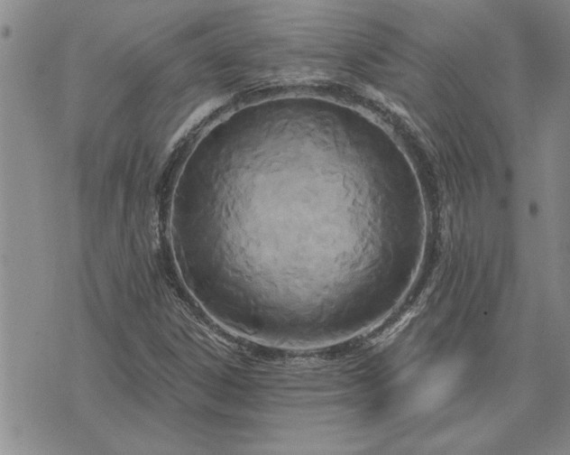X0000075851306200609221720