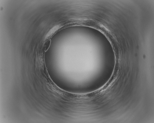 X0000075851354200609221720