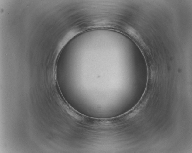X0000075851370200609221719