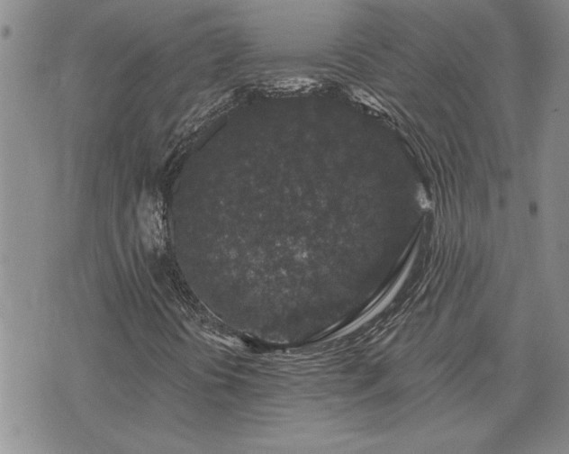X0000075851394200609221718