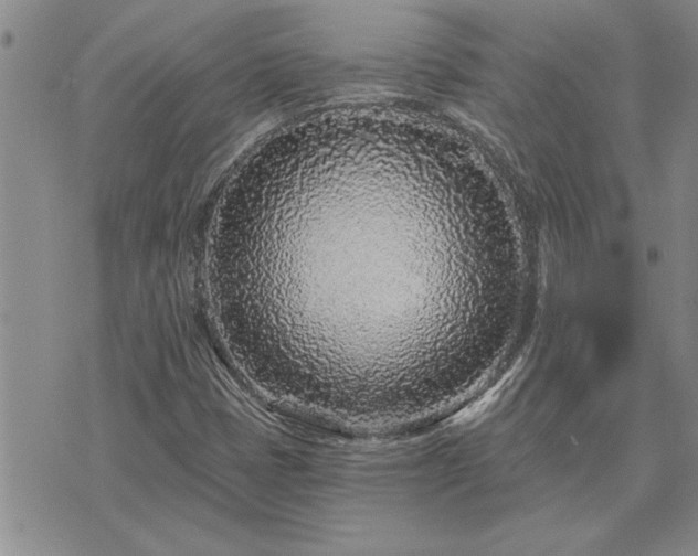 X0000075851401200609221718