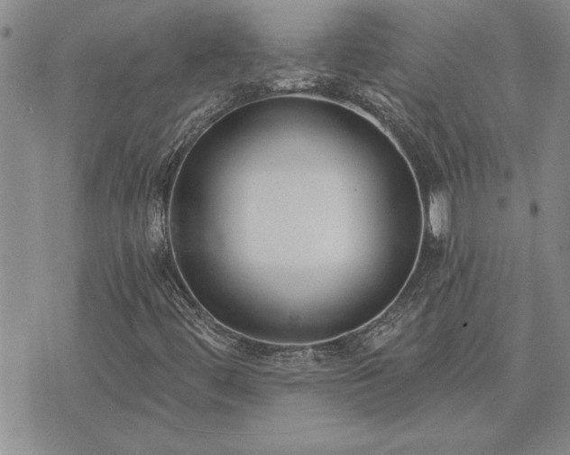 X0000075851444200609221718