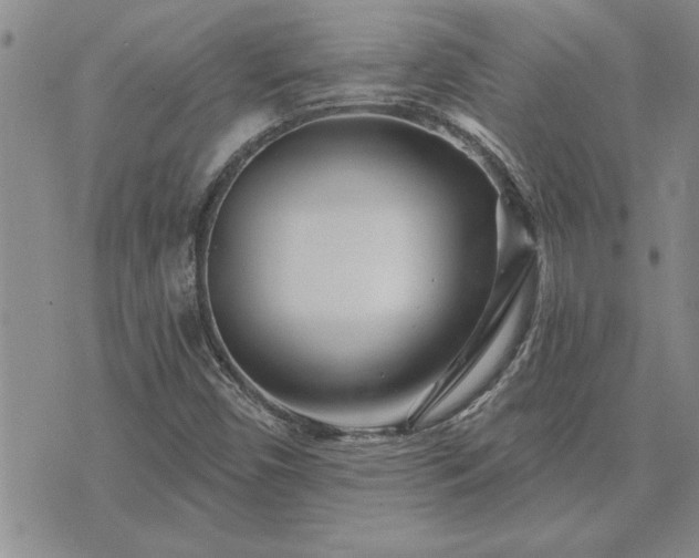 X0000075851450200609221718