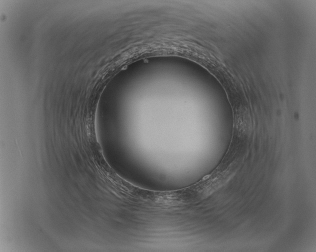 X0000075851490200609221717