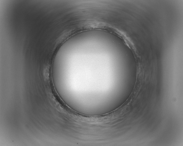 X0000075850010200609291534