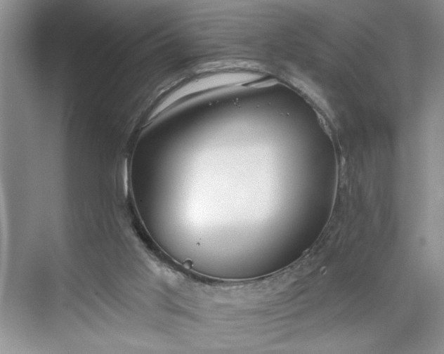 X0000075850013200609291534