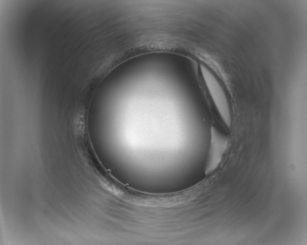 X0000075850017200609291534