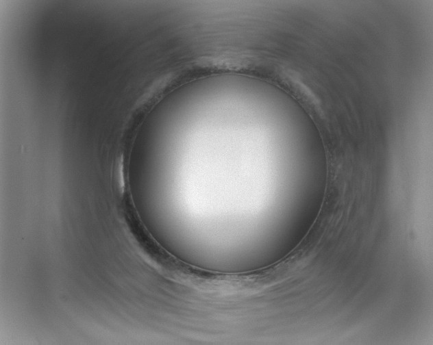 X0000075850020200609291534