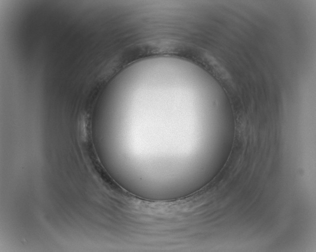 X0000075850026200609291534