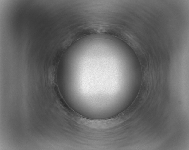 X0000075850030200609291533