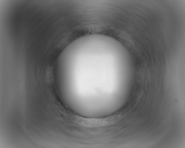 X0000075850034200609291533