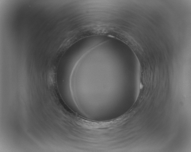 X0000075850035200609291533