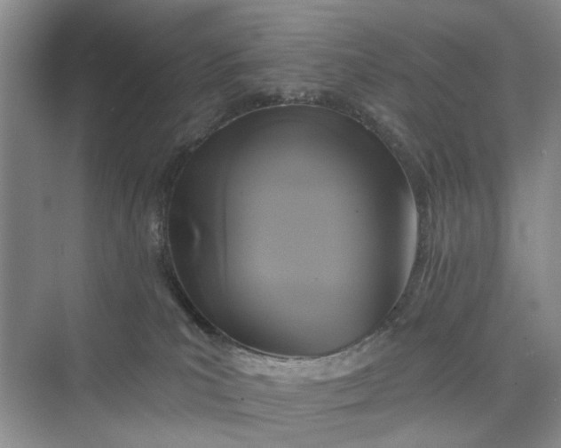 X0000075850039200609291533