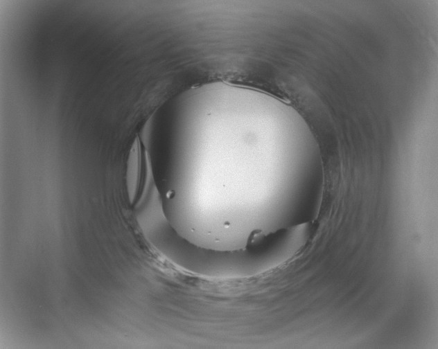 X0000075850041200609291533