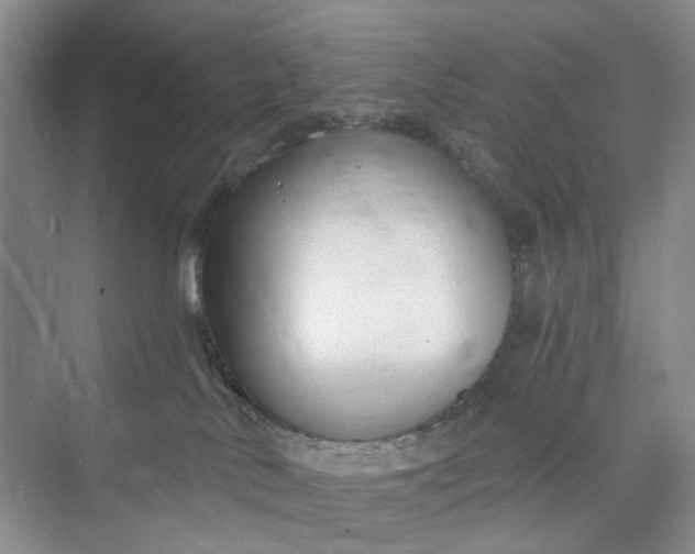 X0000075850042200609291533