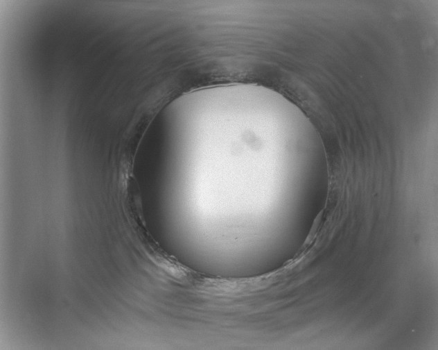 X0000075850045200609291533