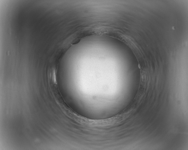 X0000075850046200609291533