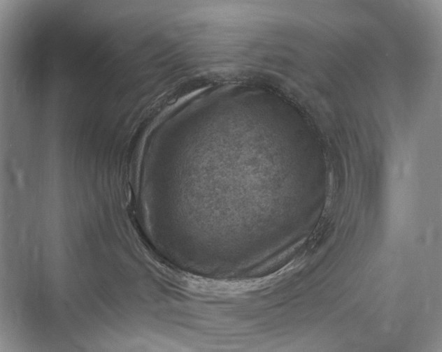X0000075850048200609291533