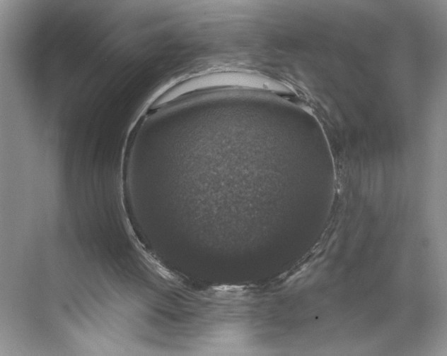 X0000075850052200609291532