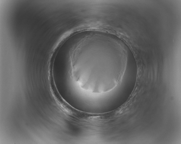 X0000075850054200609291532
