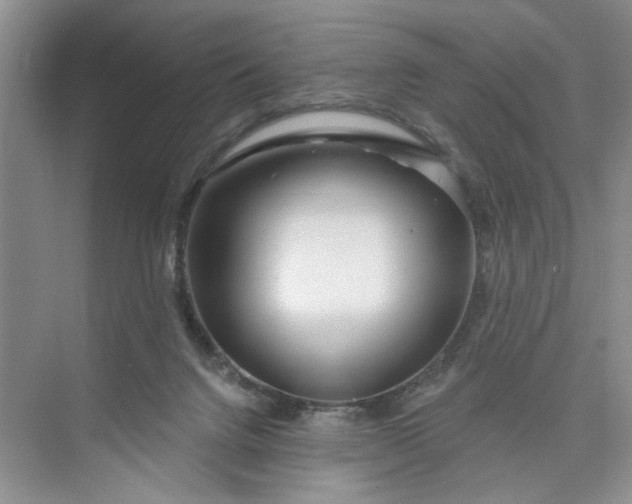 X0000075850072200609291533