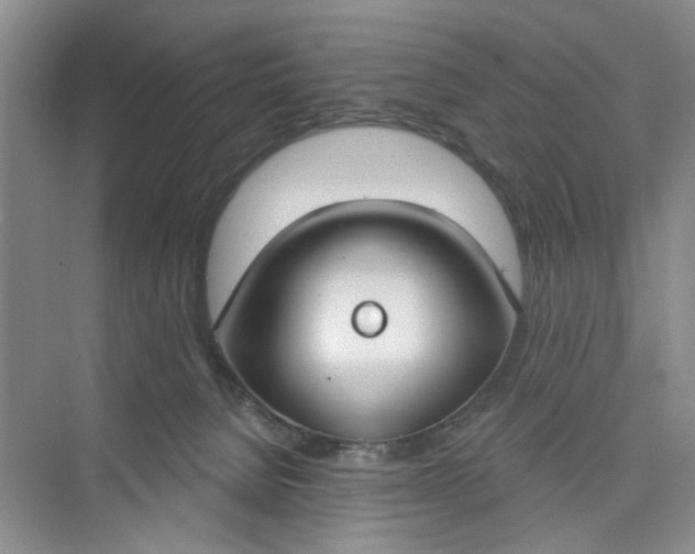 X0000075850080200609291533