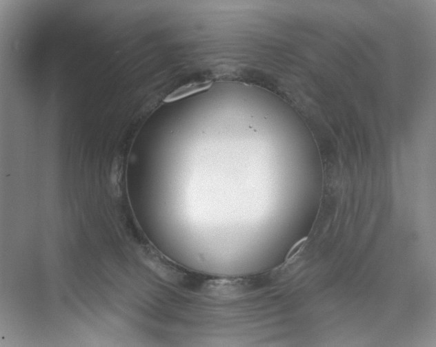 X0000075850082200609291533
