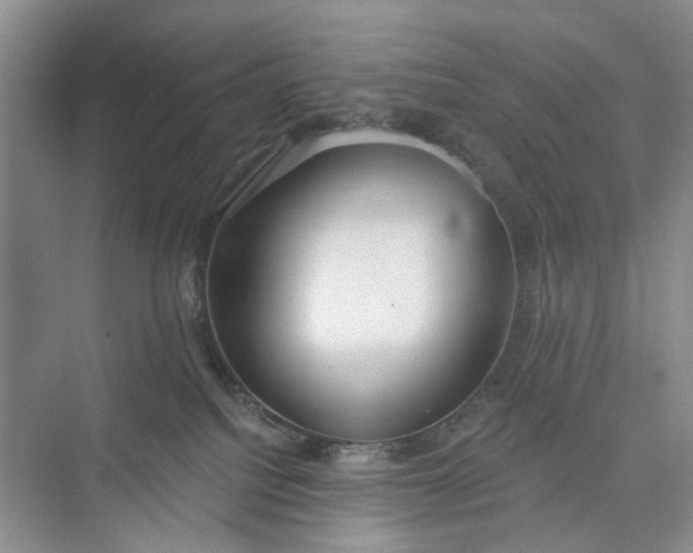 X0000075850088200609291533