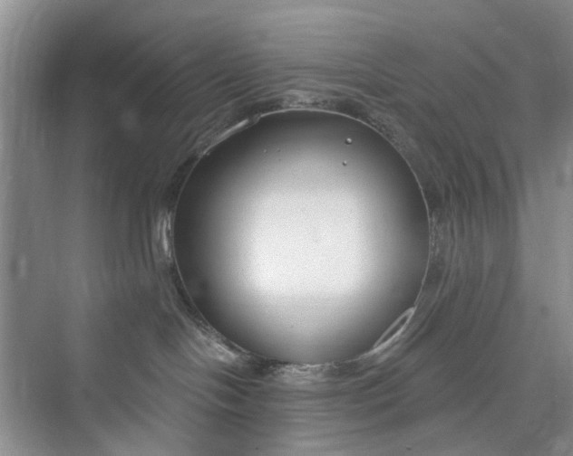 X0000075850094200609291533
