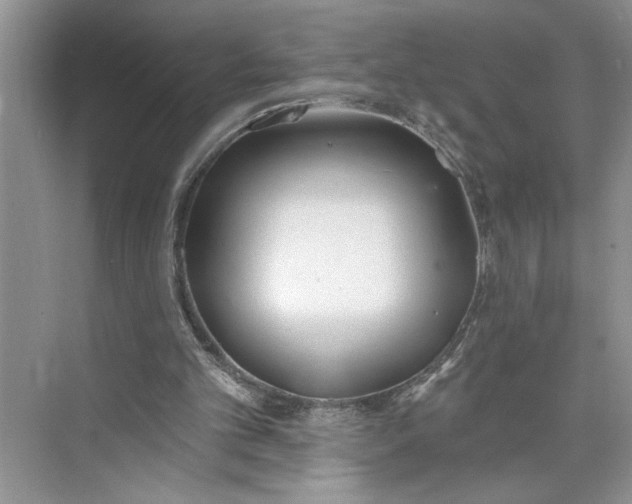 X0000075850101200609291532