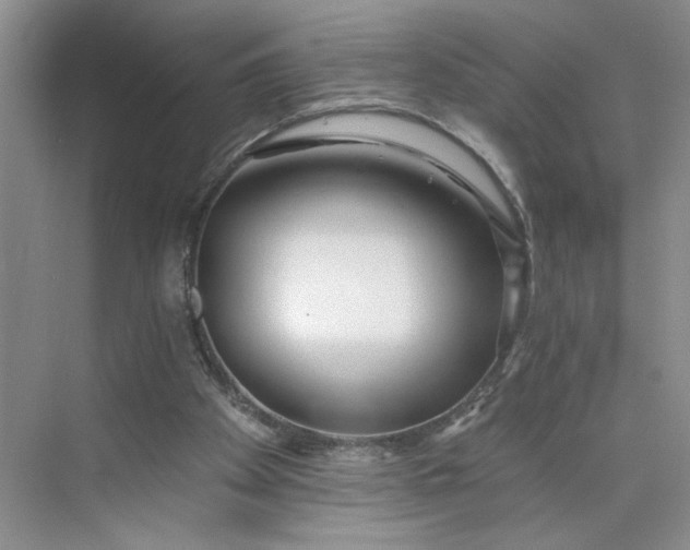 X0000075850105200609291532
