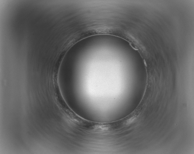 X0000075850117200609291532