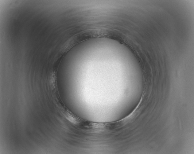 X0000075850144200609291532