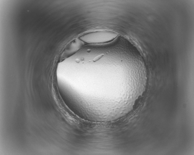 X0000075850145200609291531