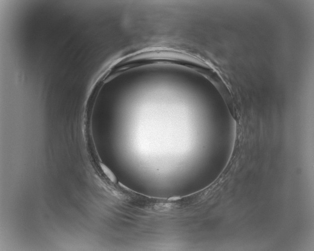 X0000075850152200609291531